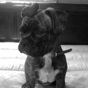 Meet your Posher, Edgar